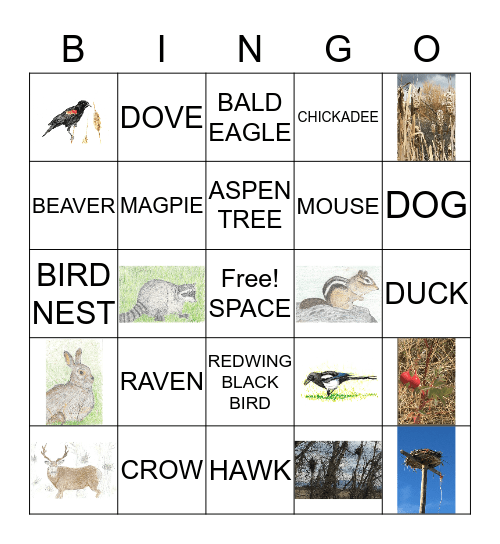 NATURE BINGO Card