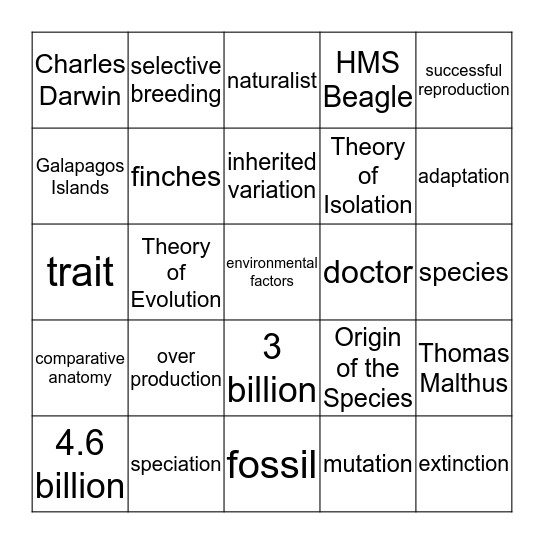 Evolution Bingo Card