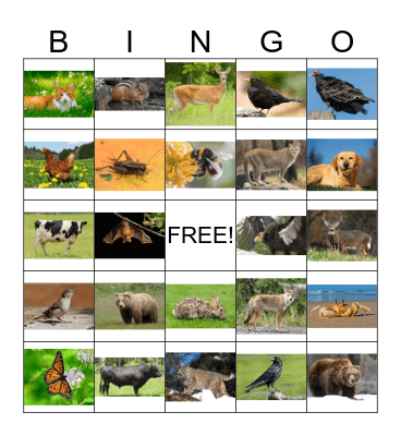 Animal Bingo 1 Bingo Card