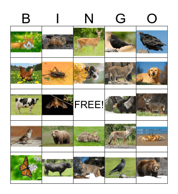Animal Bingo 1 Bingo Card