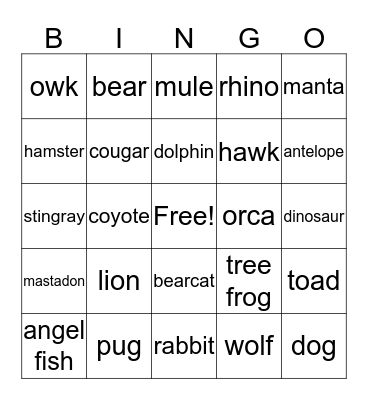 MSACCY BINGO Card