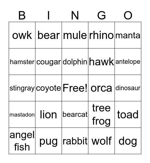 MSACCY BINGO Card
