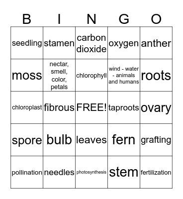 Ch. 2 Review Bingo Card