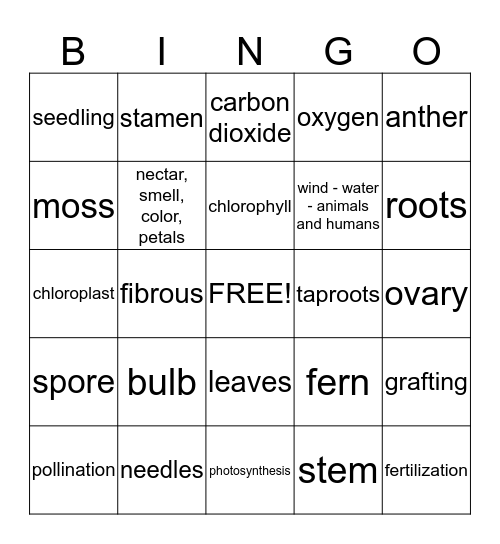 Ch. 2 Review Bingo Card