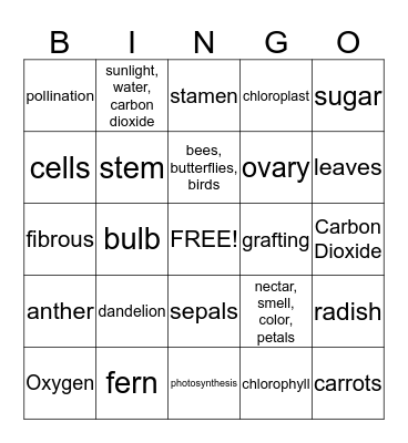 Ch. 2 Review Bingo Card