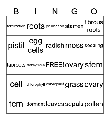 Ch. 2 Review Bingo Card