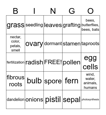 Ch. 2 Review Bingo Card