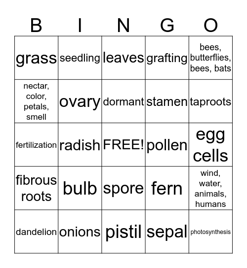Ch. 2 Review Bingo Card