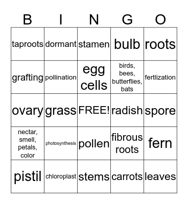 Ch. 2 Review Bingo Card