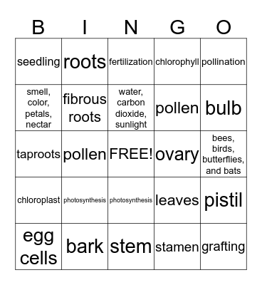 Ch. 2 Review Bingo Card
