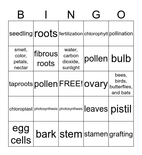 Ch. 2 Review Bingo Card