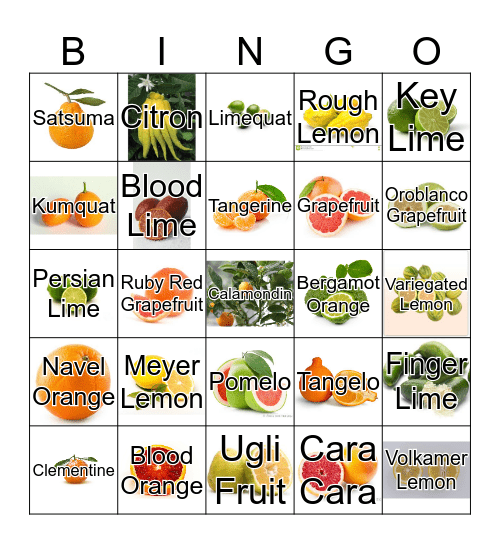 Citris Bingo Card
