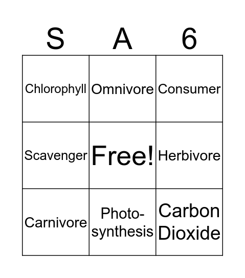 Science Vocabulary Bingo Card