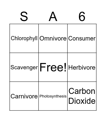 Science Vocabulary Bingo Card