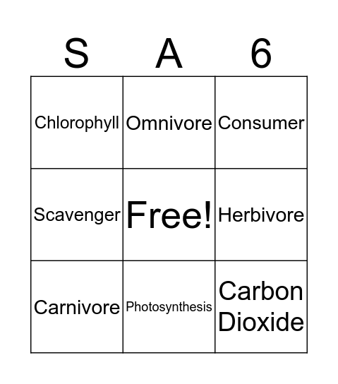 Science Vocabulary Bingo Card