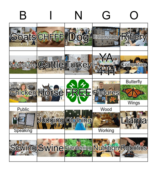 4-H Projects BINGO Card