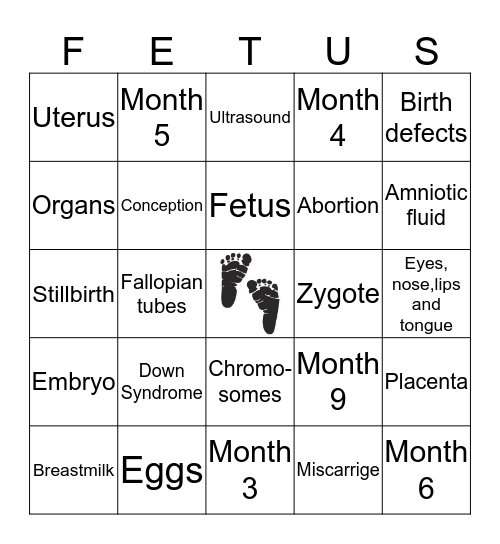 Prenatal Development Bingo Card