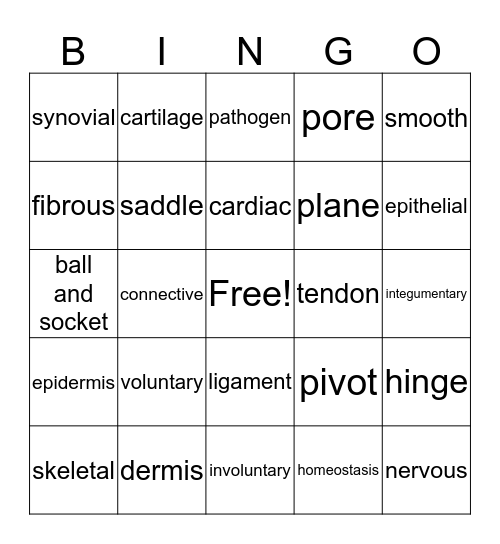 Musculoskeletal Unit Bingo Card