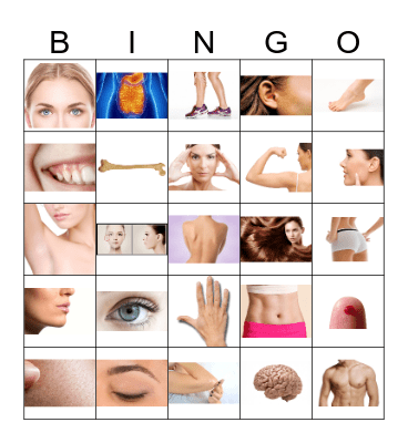 Body Parts Bingo 1 Bingo Card
