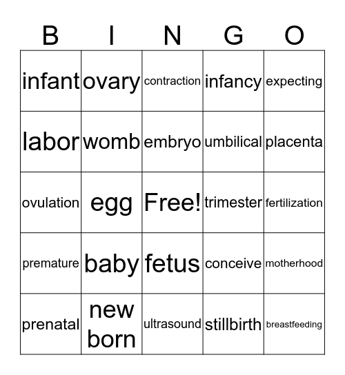 PREGNANCY Bingo Card