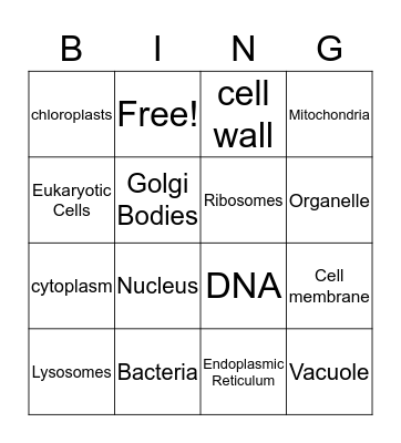 Cell organelles Bingo Card