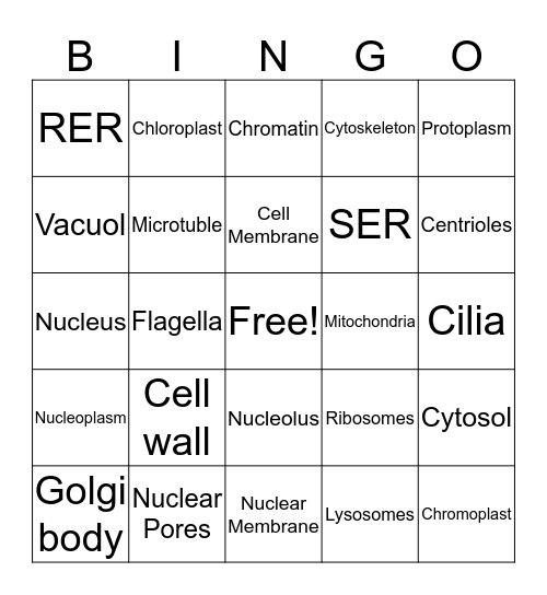 Organelles Bingo Card