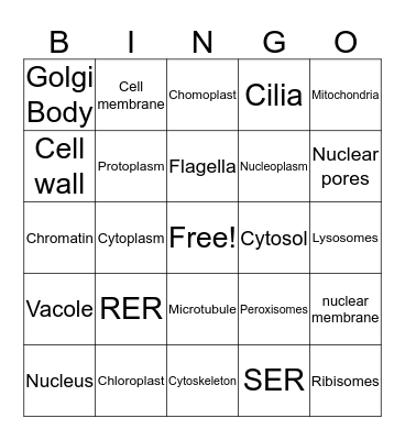 Bres bingo Card