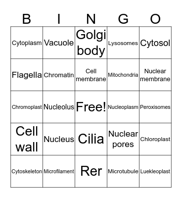 Organelle bingo Card