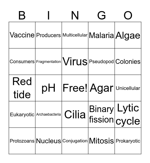 Microscopic World Bingo Card