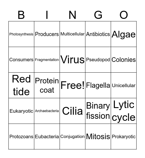 Microscopic World Bingo Card