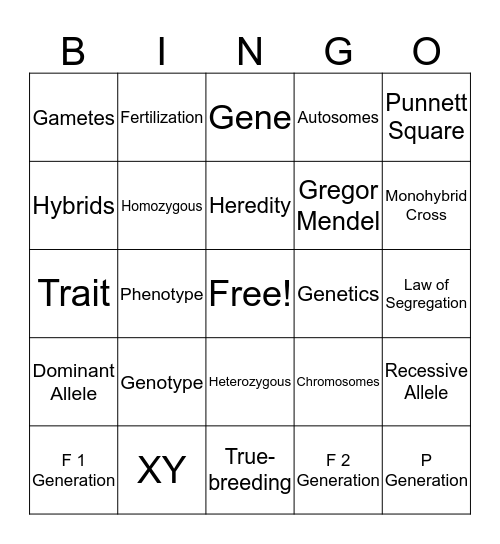 Genetics Vocabulary Bingo Card