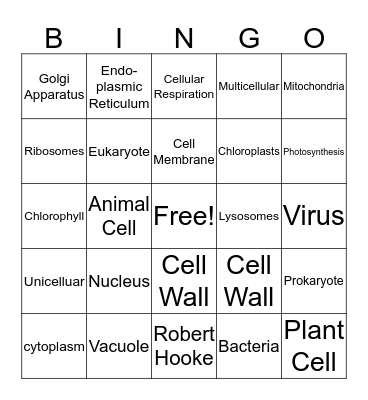 CeLLs Bingo Card