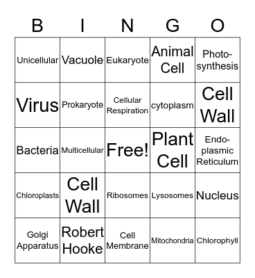 CeLLs Bingo Card