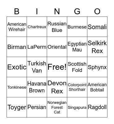 CAT BREEDINGO Bingo Card