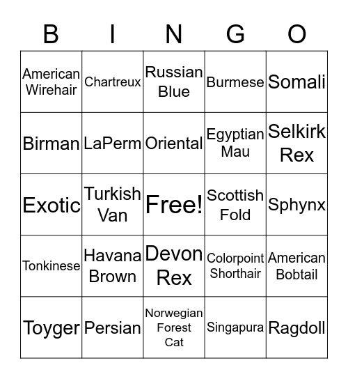 CAT BREEDINGO Bingo Card