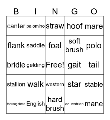Equestrian Club Bingo Card