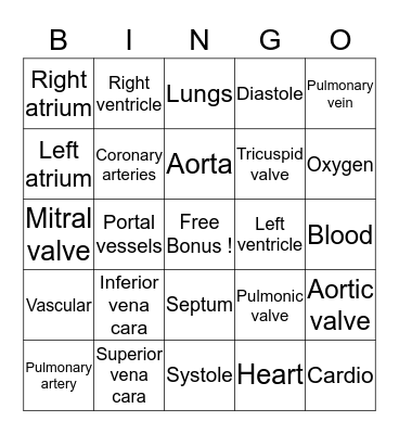 Circulatory System Bingo Card