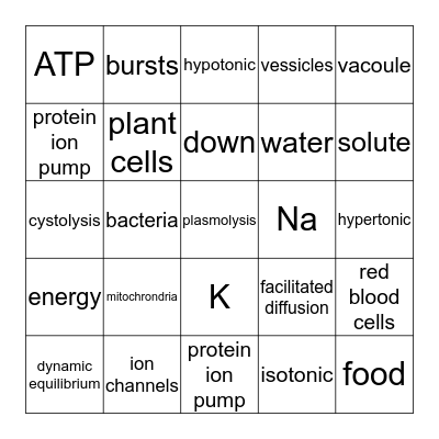 CELLULAR TRANSPORT Bingo Card