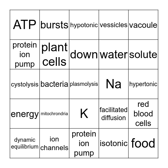 CELLULAR TRANSPORT Bingo Card