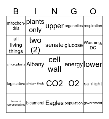 SS/Science Mixed Review Bingo Card