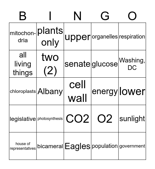 SS/Science Mixed Review Bingo Card