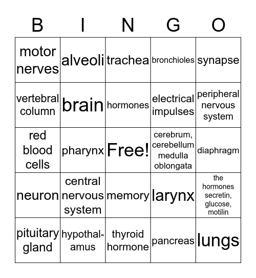BODY SYSTEMS  Bingo Card