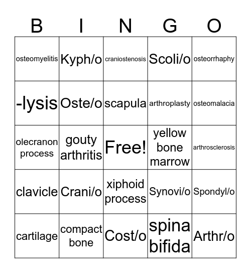 Chapter 3: The Skeletal System Bingo Card