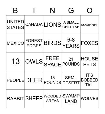 BOBCAT BINGO Card