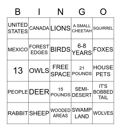 BOBCAT BINGO Card