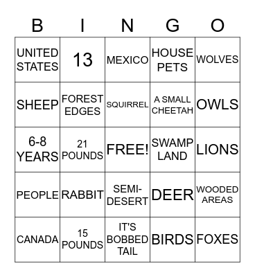 BOBCAT BINGO Card
