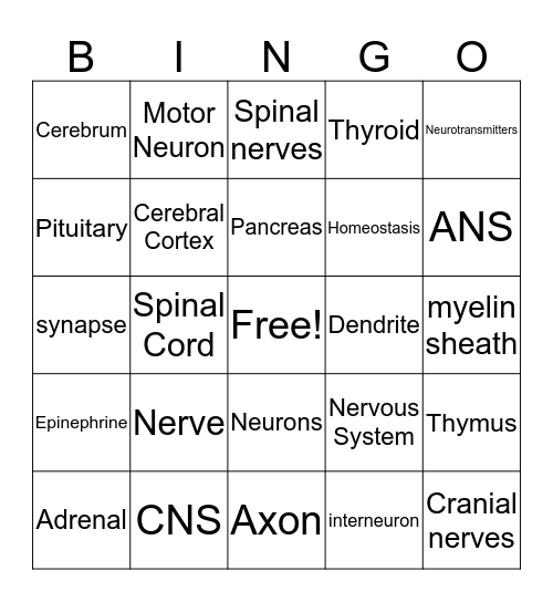 Nevous and endocrine systems Bingo Card