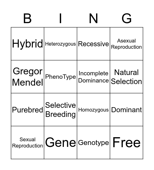 WOW 11 - Genetics Bingo Card