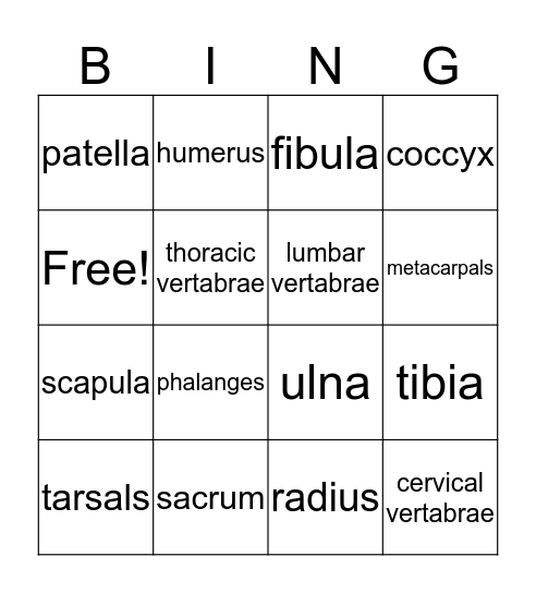 Bone Bingo Card