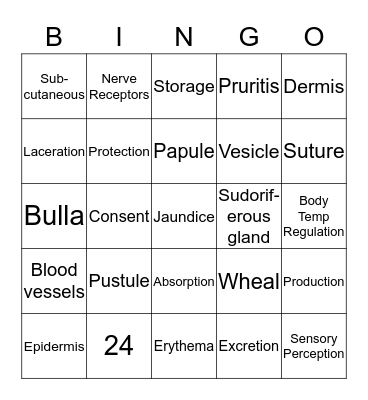 Integumentary System Bingo Card